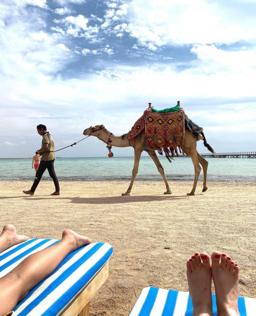 Romance Regency Club (Adults Only) Sharm El-Sheikh Exterior foto